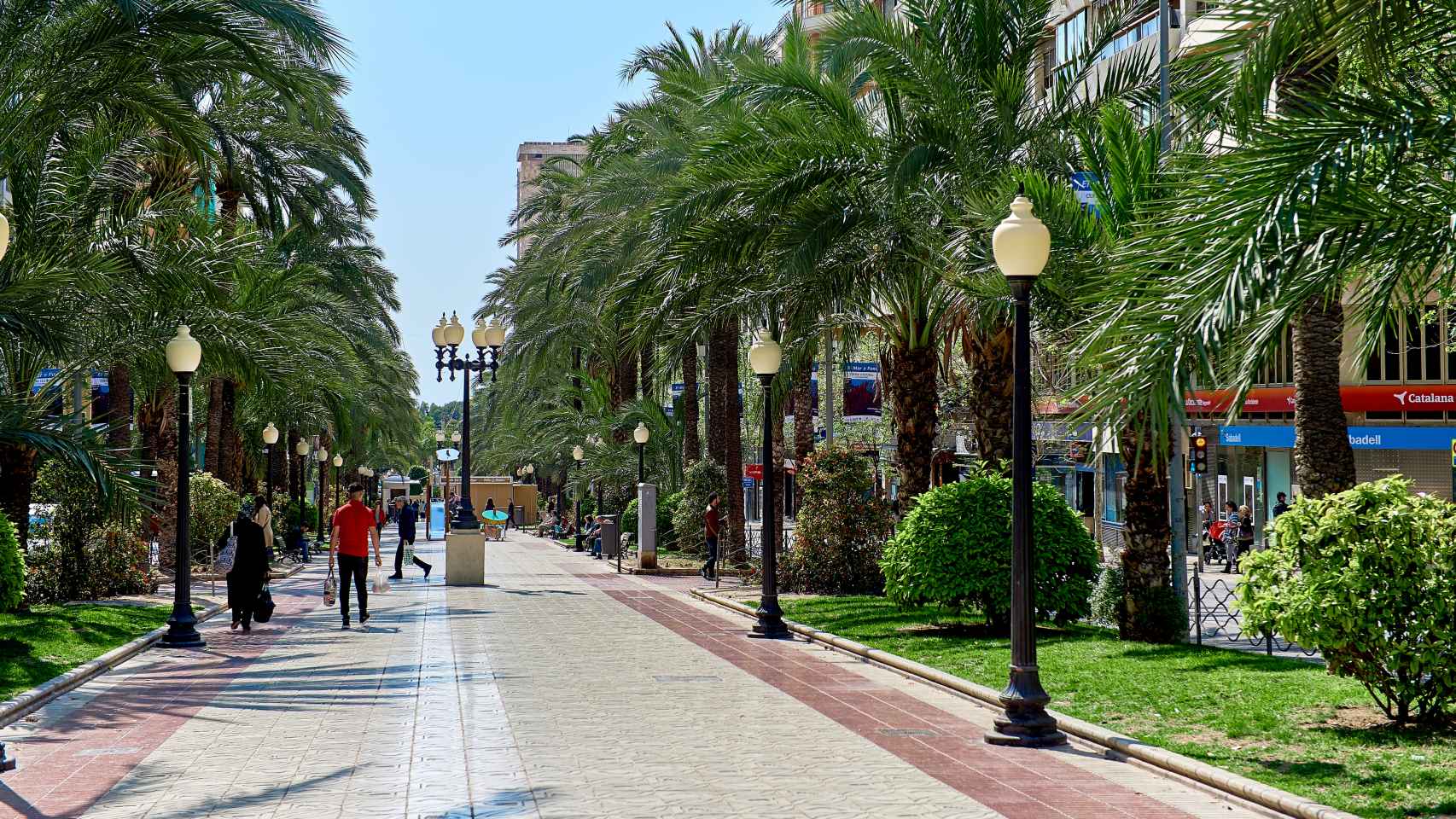 Avenida Federico Soto en Alicante.