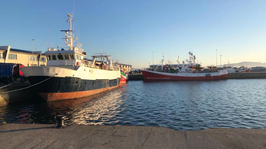 Varios armadores coruñeses promueven el consumo del pescado fresco y salvaje
