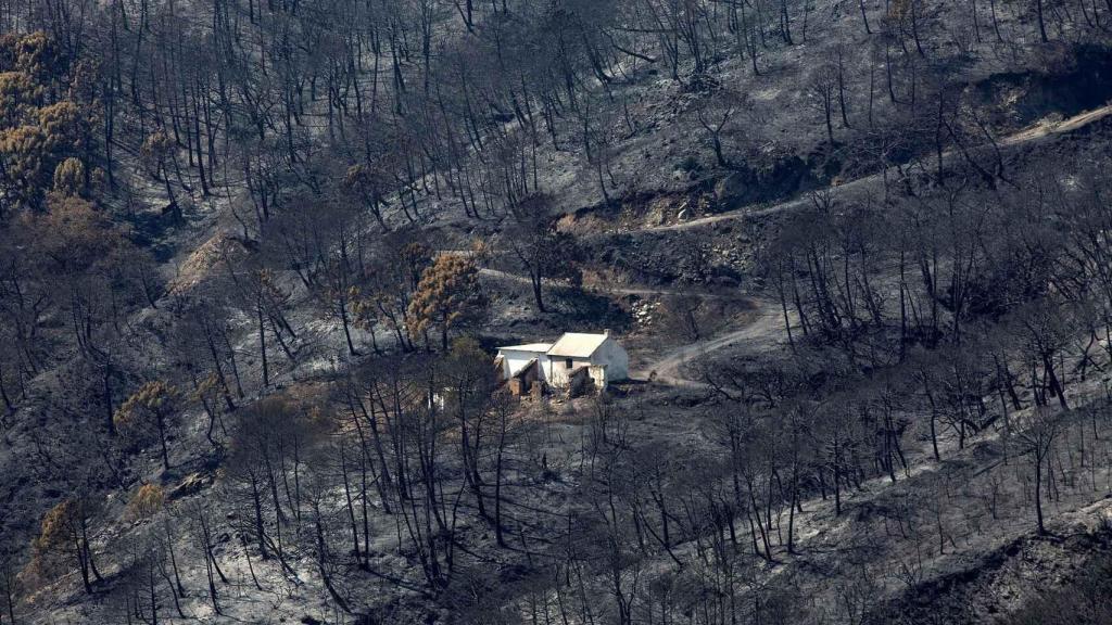 Vista aérea del incendio en Sierra Bermeja, en Málaga.