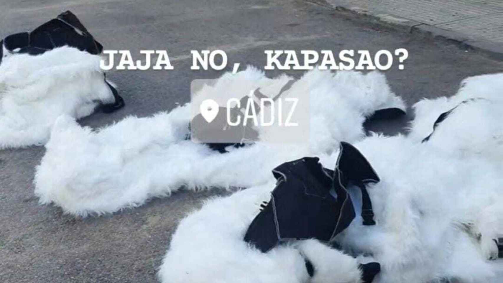 Publicación que compartieron en Instagram de los trajes de oso polar de la cabalgata de Cádiz.