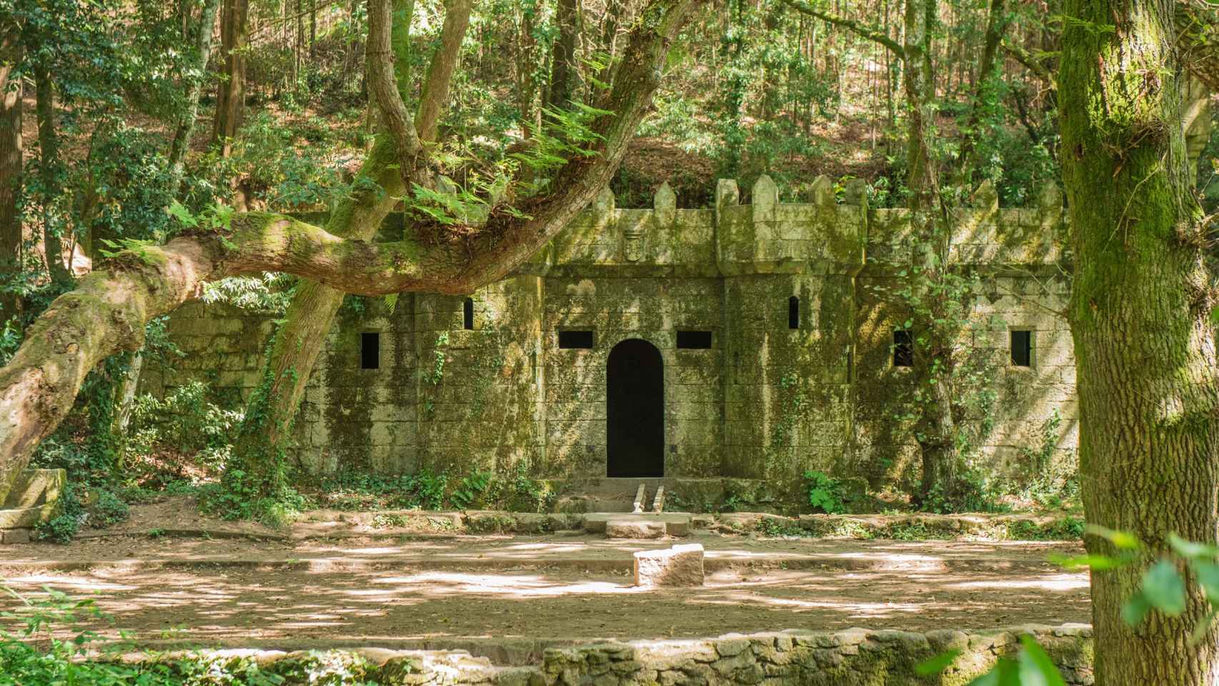 Bosque encantado de Aldán (Pontevedra).