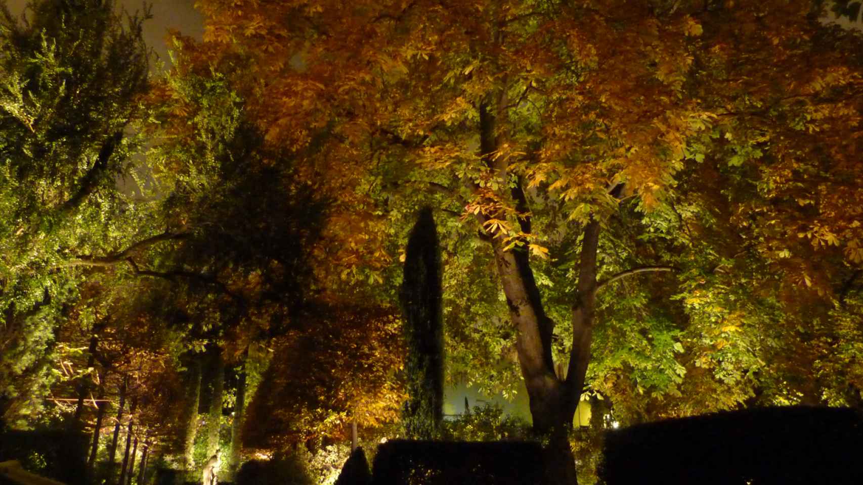Jardín de Toledo iluminado (2011).