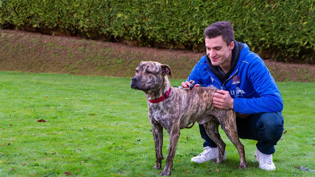 El jugador del Básquet Coruña, Zach Monaghan, con uno de los perros que se pueden adoptar.