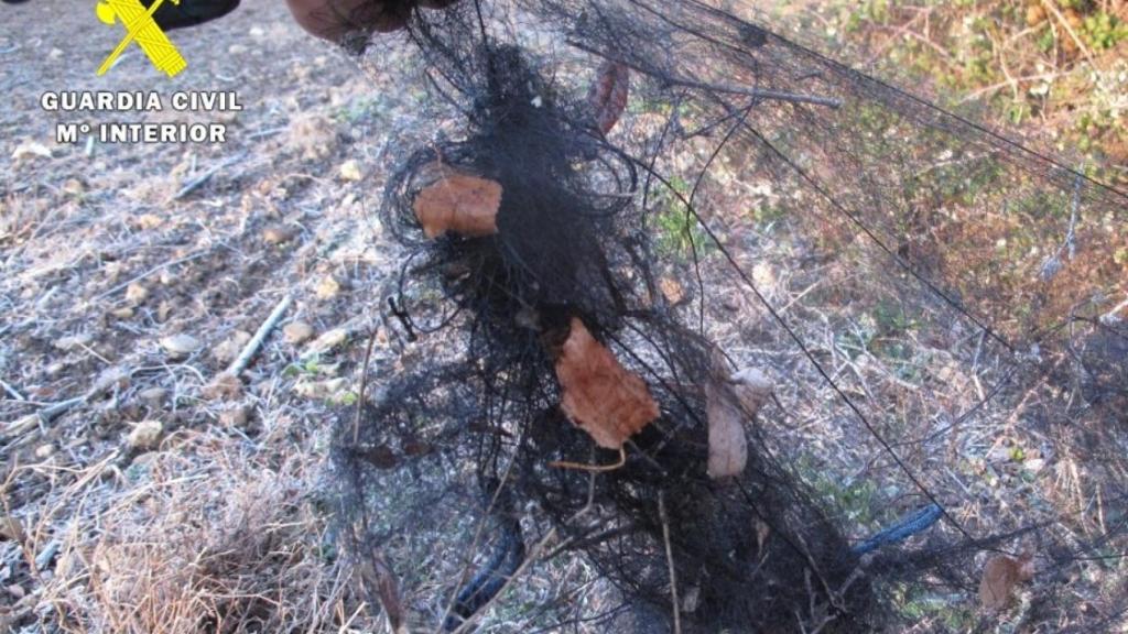 Retiran una 'red de niebla' ilegal para atrapar pájaros instalada en el río Vena en Burgos