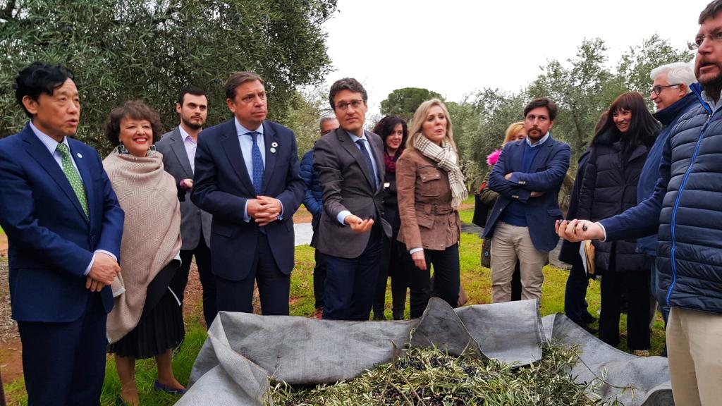 Luis Planas durante una visita en 2019 con el director de la FAO en una finca olivarera en Montoro, Córdoba.