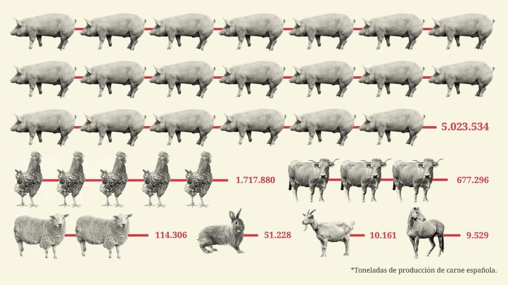 Clasificación del sector cárnico por toneladas de producción.