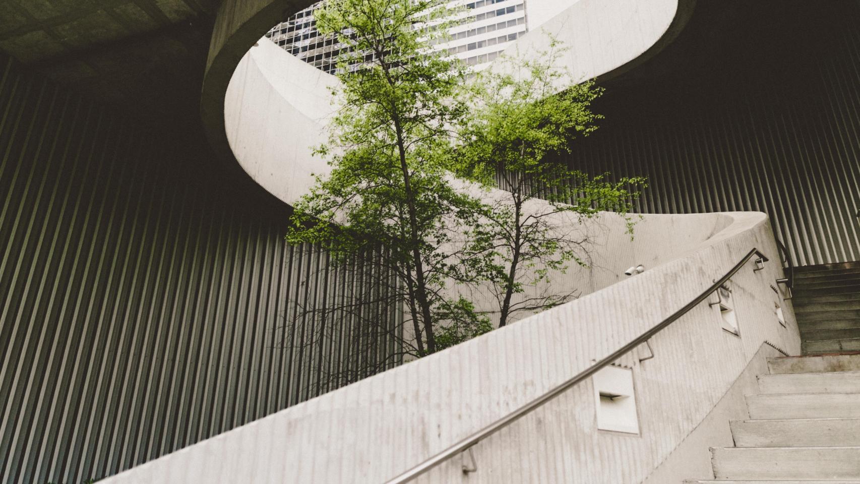 Un árbol se abre paso por medio de un edificio de oficinas.