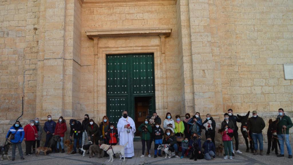 Los cigaleños acuden al templo junto a sus mascotas con motivo de San Antón