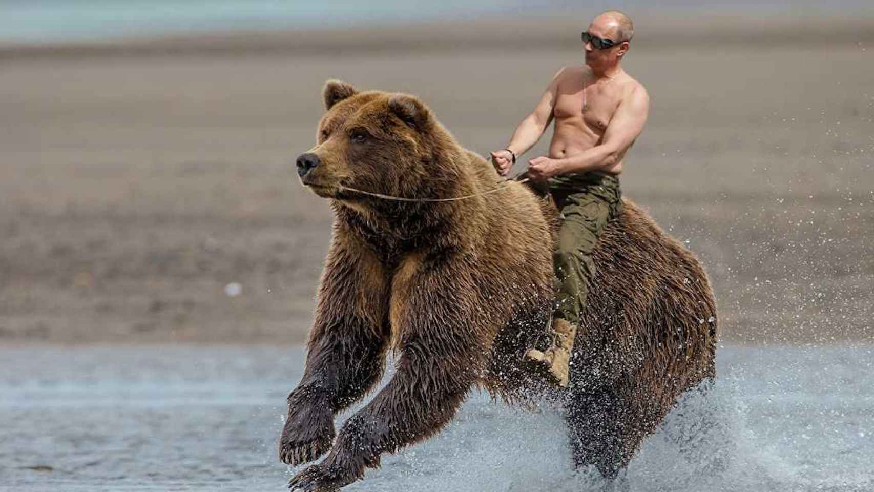 Vladimir Putin cabalga un oso a pecho descubierto, en un exitoso meme que circula por internet.