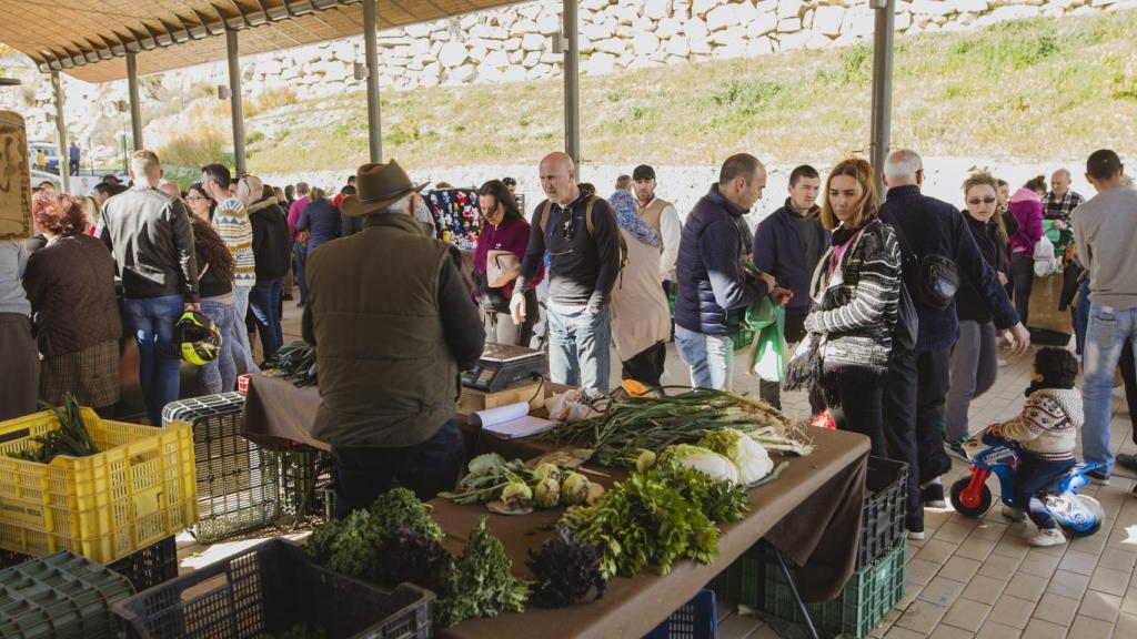 Mercado en Coín.