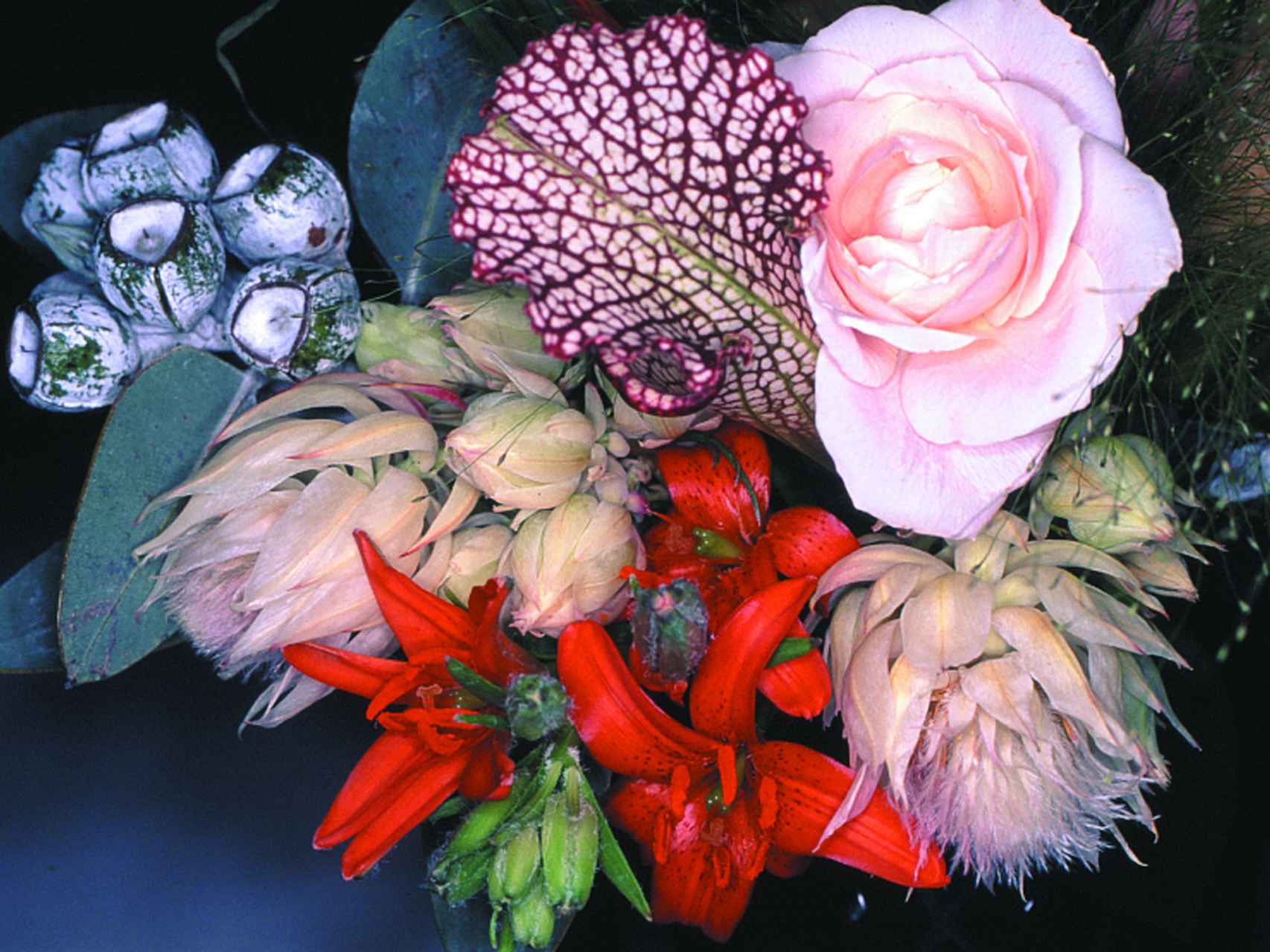 Nobuyoshi Araki: 'Flower Rondeau', 1997