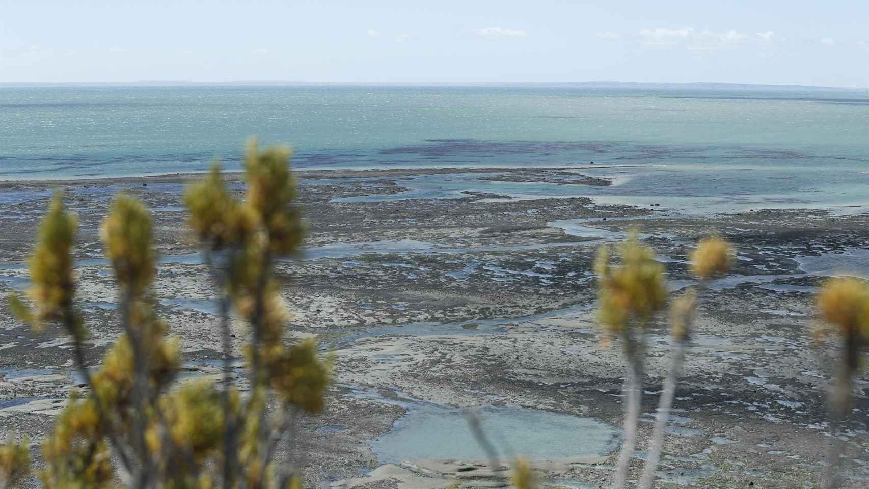 Costa de Punta Arenas, hacia el estrecho de Magallanes.