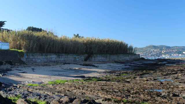 Playa do Canto, en Nigrán (Pontevedra).