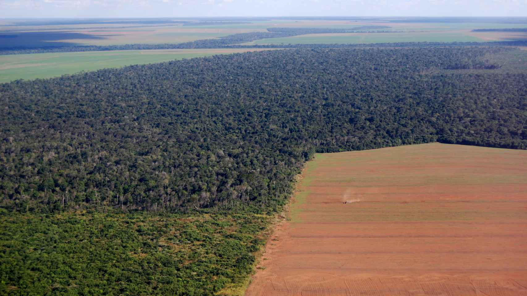 Una zona verde de Brasil deforestada por la tala intensiva