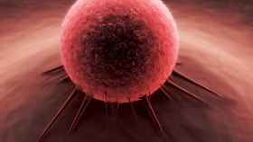 Representación de las células cancerosas formando el tumor.