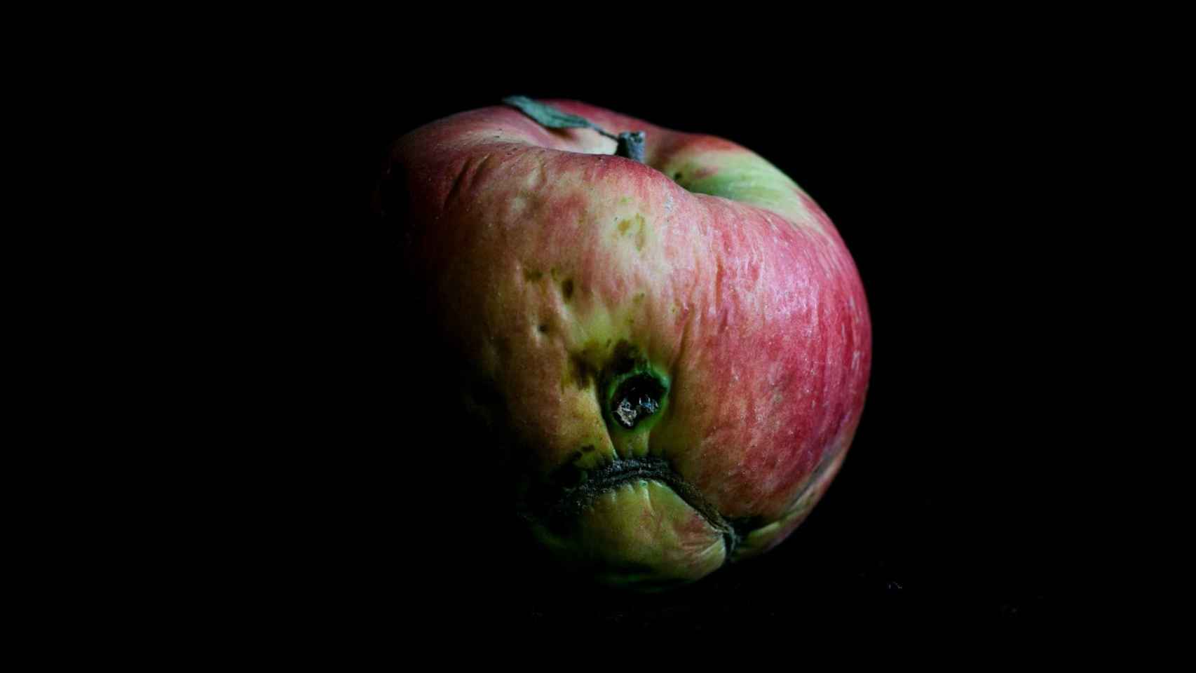 Manzana de la tierra contaminada de Chernóbil.