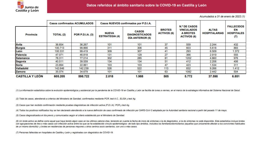 Datos Covid 31 de enero