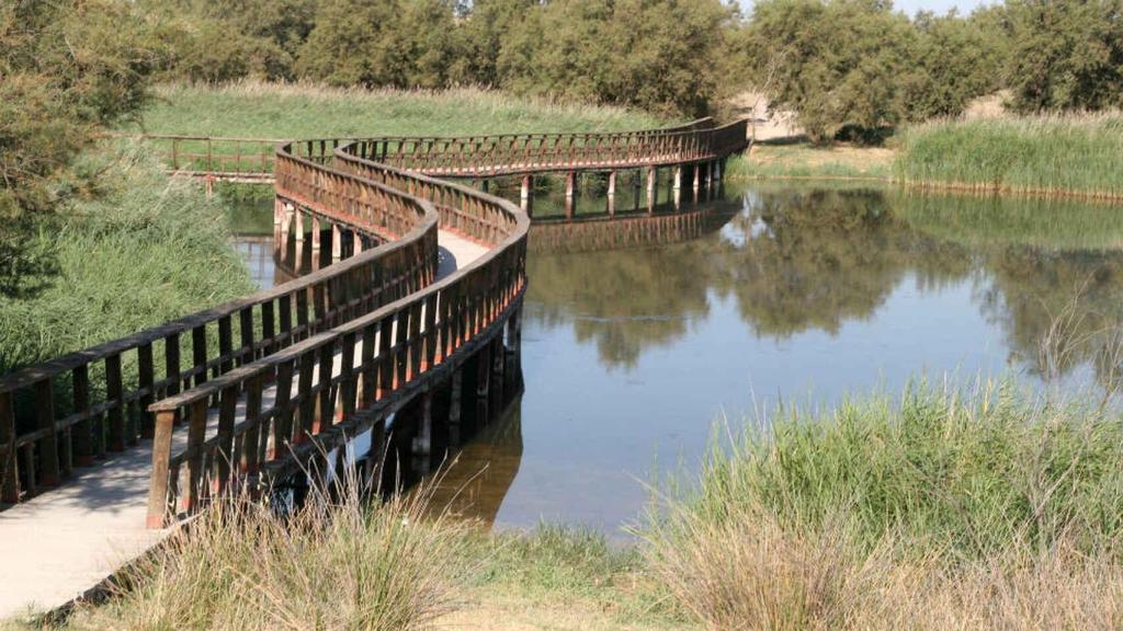 Tablas de Daimiel (Ciudad Real)