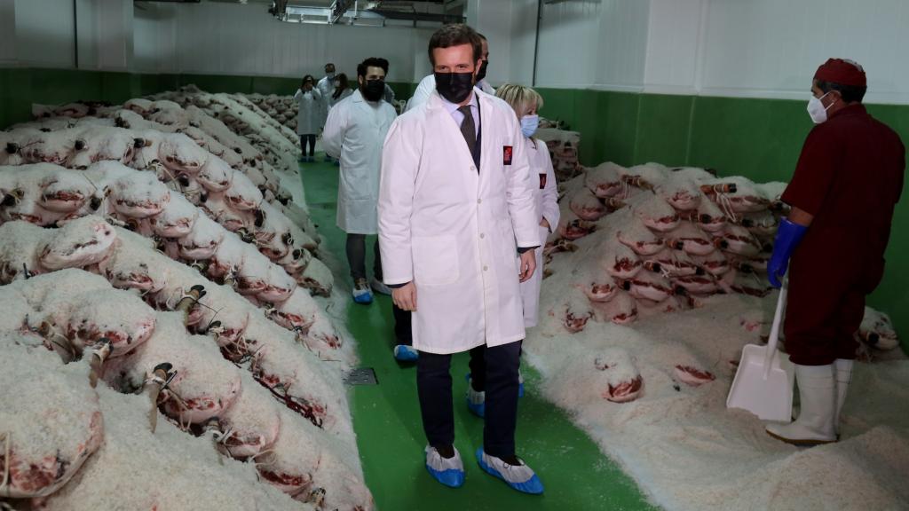 Pablo Casado visita una fábrica de embutidos y secadero en la localidad salmantina de Guijuelo.