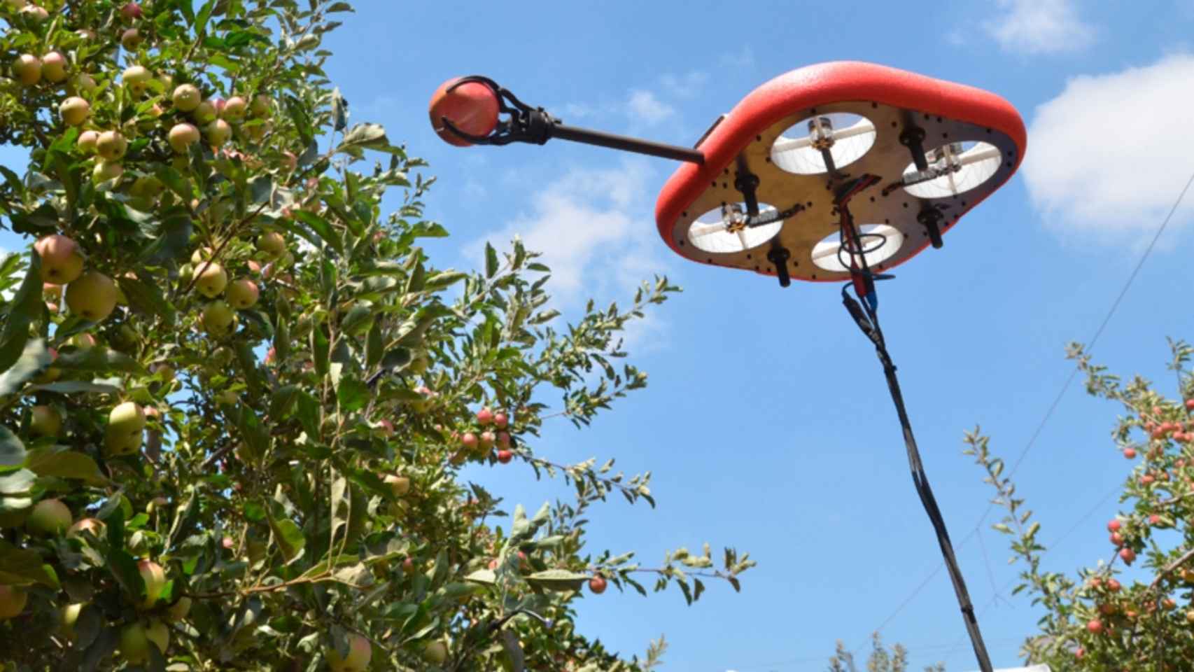 El robot autónomo volador que recolecta fruta.