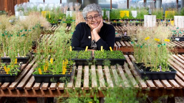 La profesora Joanne Chory en el Instituto Salk, donde dirige su proyecto 'Ideal Plant'.