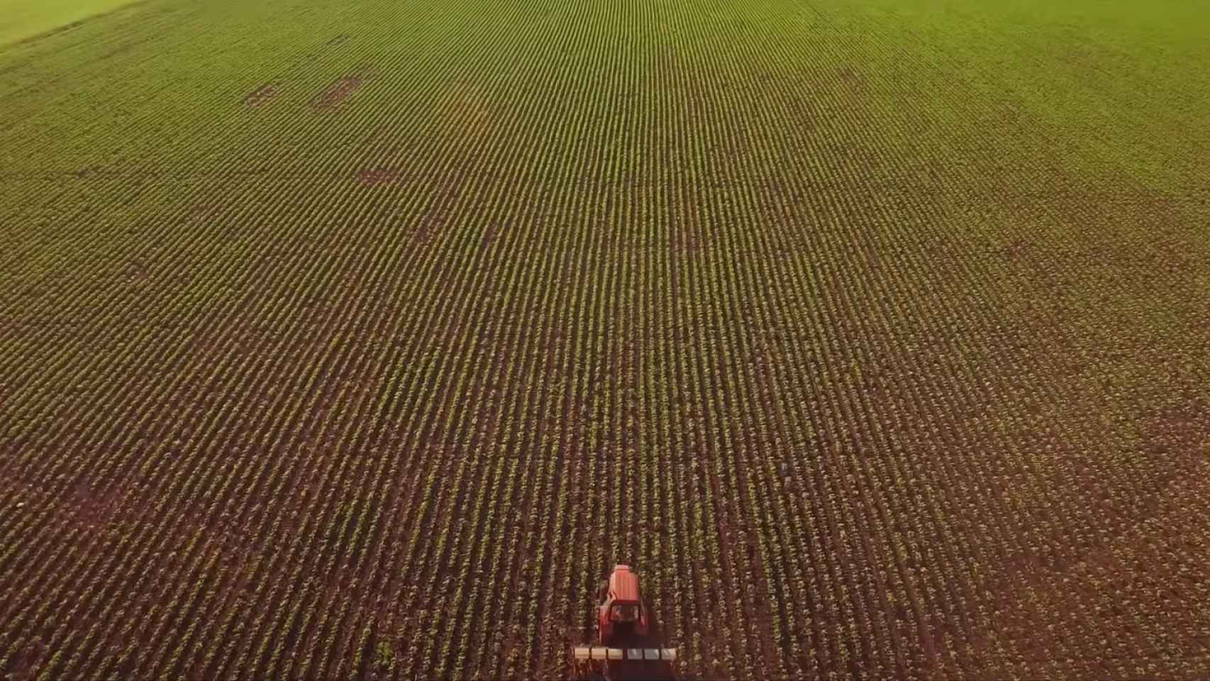 Un tractor en un cultivo.
