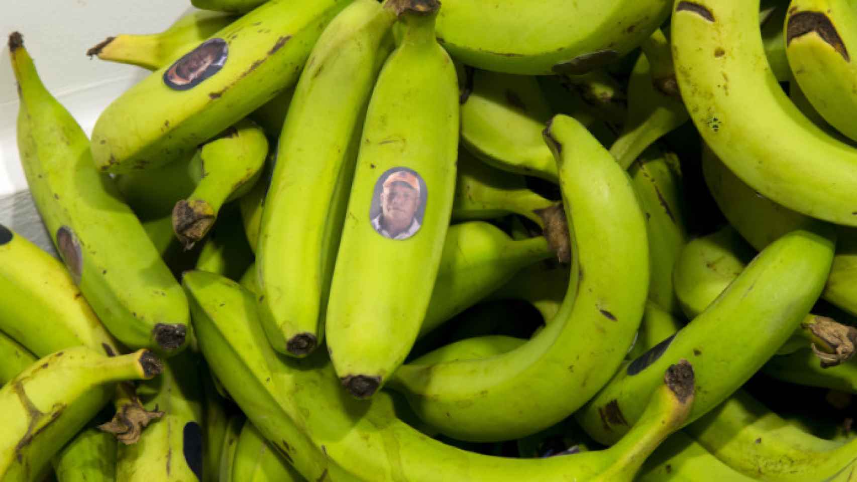 Milko Delgado: 'Apuntes conceptuales sobre el extractivismo bananero en Barú', 2021