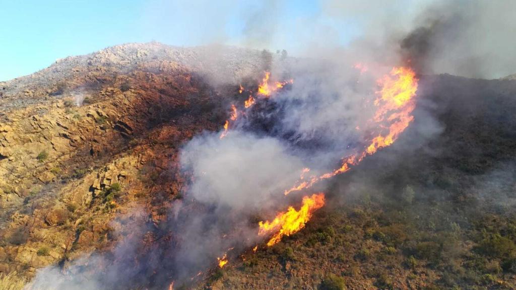 Imagen del incendio en Ojén.