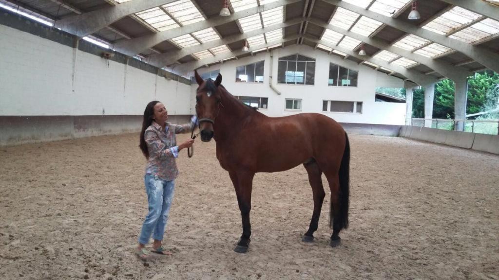 Mónica Pineda reencontrándose con un caballo que castró hace años.