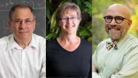Fahrig, Levin y Pickett, Premio Fundación BBVA por sus estudios sobre ecología y espacio físico