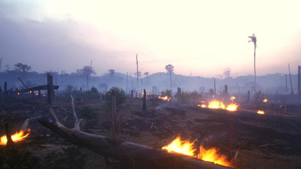 La deforestación del Amazonas