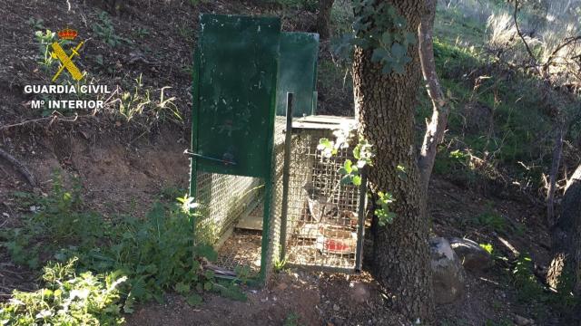 Una de las cajas-trampa utilizadas por el cazador.