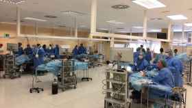 El portavoz de Sanidad del PP reclama la implantación de Medicina en la Universidad de Alicante.