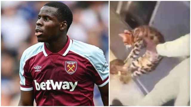Kurt Zouma, el futbolista de la Premier League repudiado por un vídeo en el que maltrata a su gato