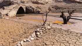 La sequía podría provocar en otoño una crisis que obligue a regular el consumo de agua