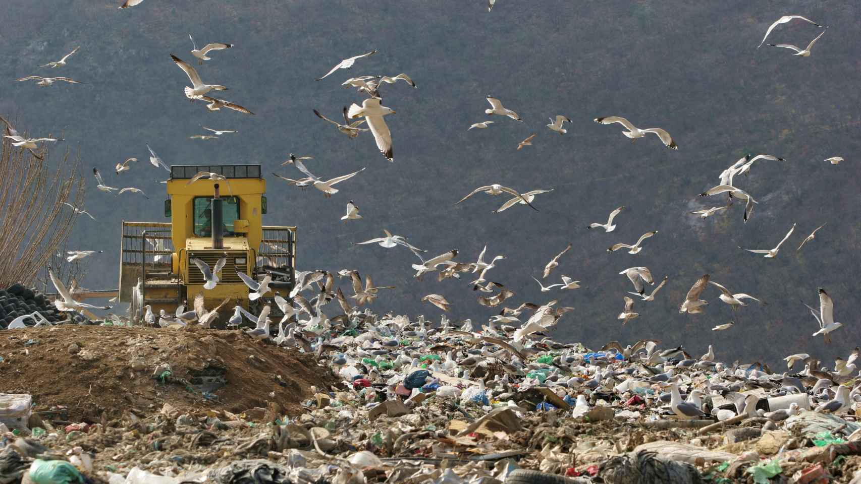 Imagen de un vertedero con una gran acumulación de residuos.