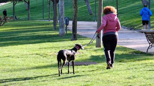 Una mujer pasea con su perro por un parque.