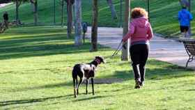 Una mujer pasea con su perro por un parque.