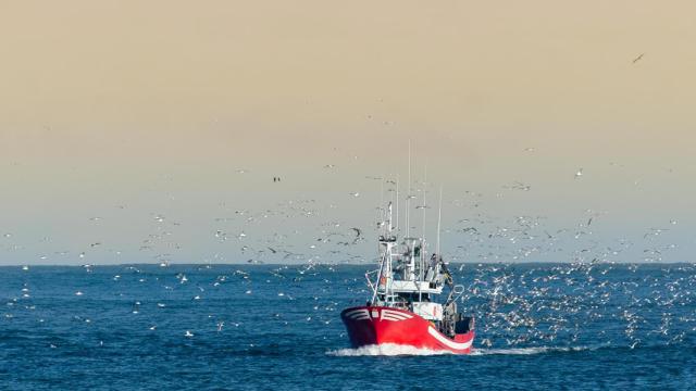 barco, pesca