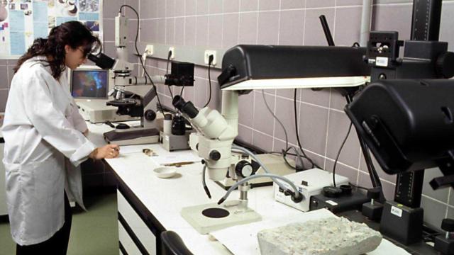 Una investigadora en el laboratorio de ISABIAL de Alicante.