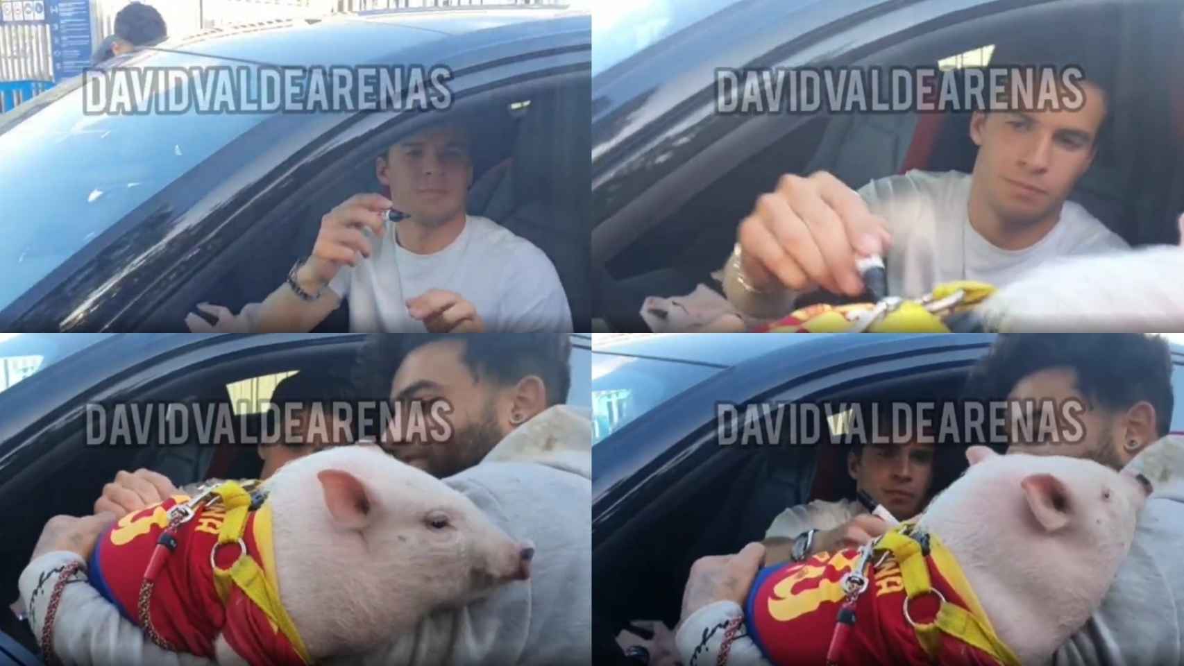 Riqui Puig firmando el cerdo, en un fotomontaje