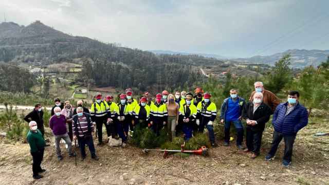 Un taller de empleo para repoblar los montes de Vigo