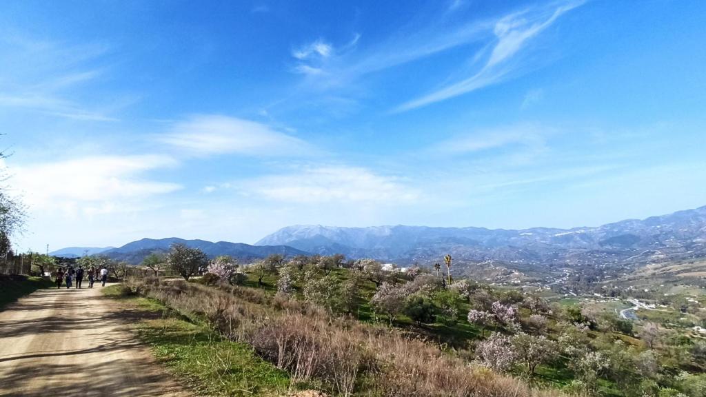 Los paisajes que rodean Guaro merecen la pena de visitar en esta época.