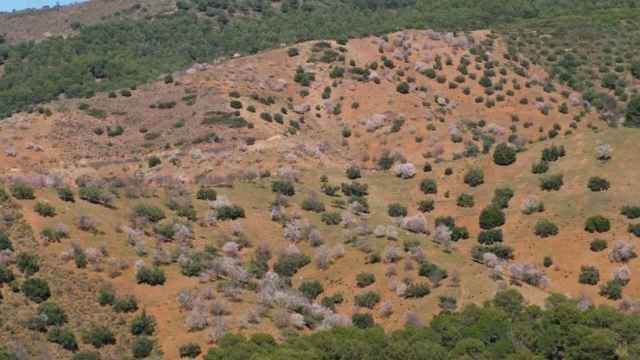 Los Montes de Málaga.