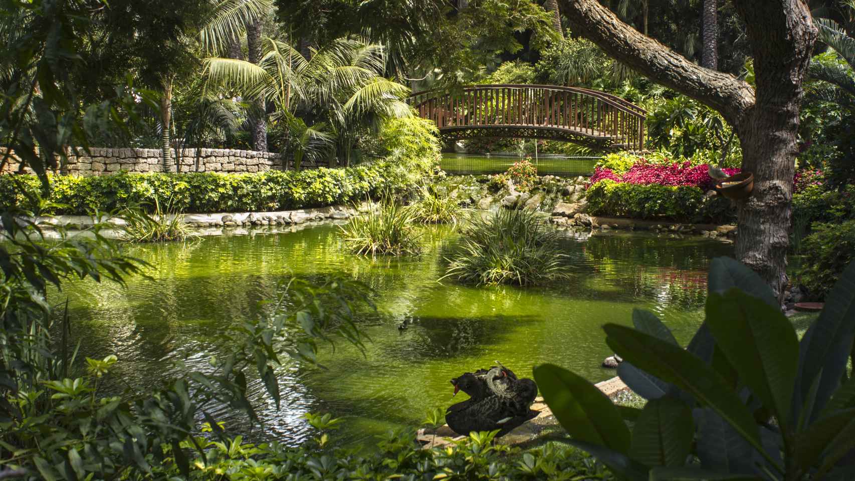 Hotel Botánico & The Oriental Spa Garden.