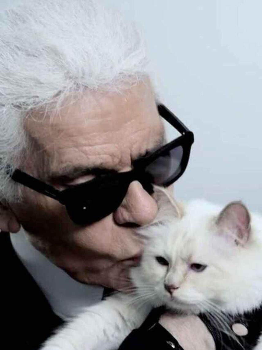 Choupette era la fiel acompañante del icónico diseñador.