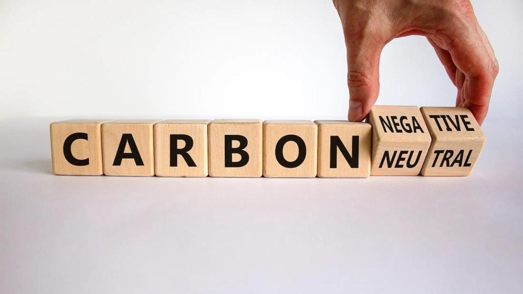 De emisiones cero netas a ser 'carbono positivo': un paso más para empresas con mayor ambición sostenible