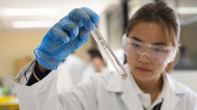 KCA The British School  (Alicante)