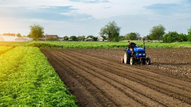 tractor campo agricultura