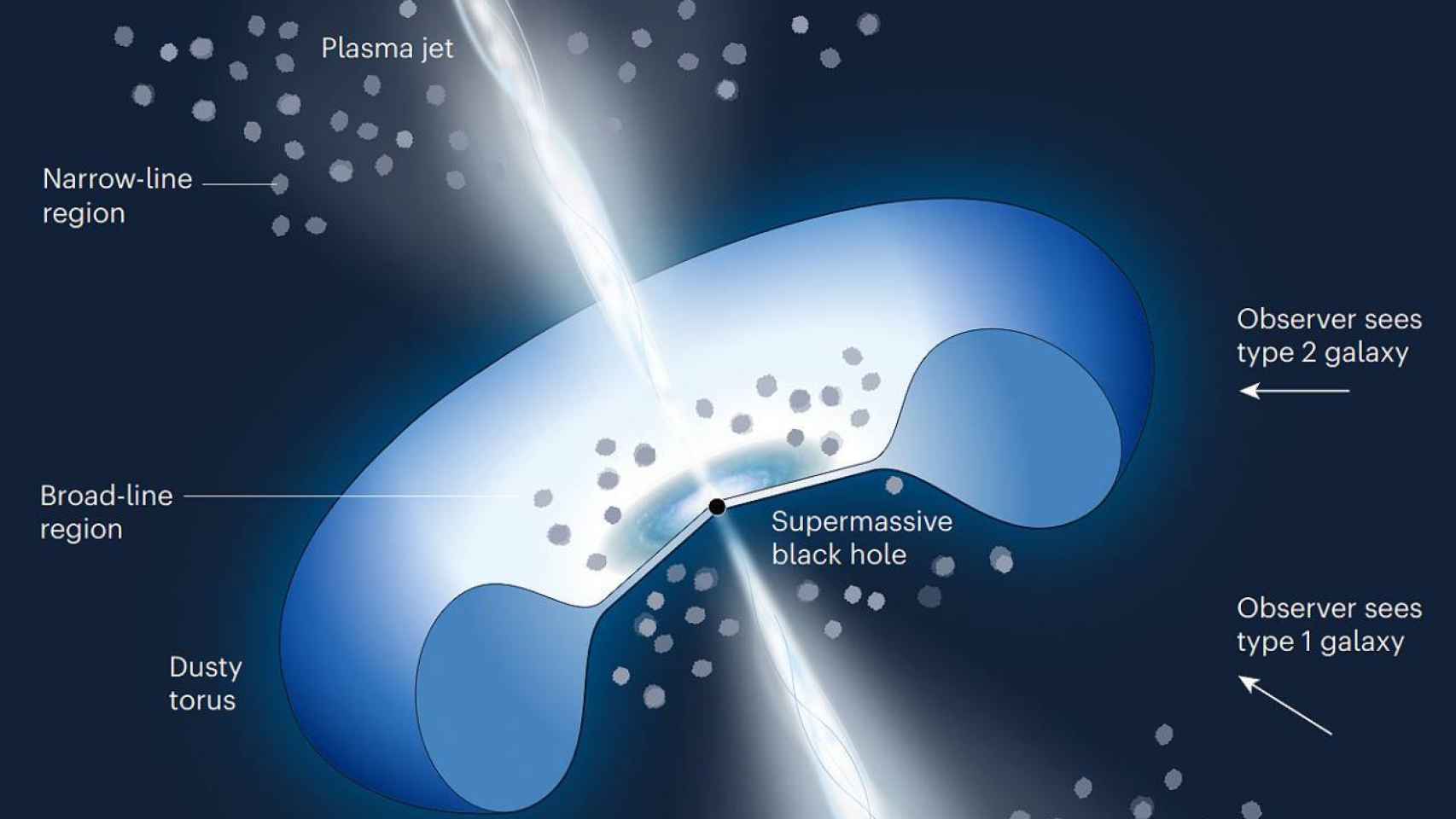 Imagen del polvo alrededor de un núcleo activo de galaxia , indicando desde donde se ven los de tipo 1 y 2.